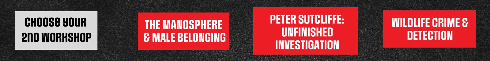 Choose your 2nd workshop: The Manosphere & Male Belonging, Peter Sutcliffe: Unfinished Investigation, Wildlife Crime & Detection